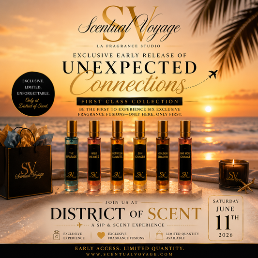 Unexpected Connections: Layover Collection